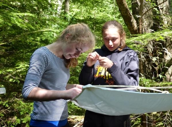 students in the forest conducting an experiment