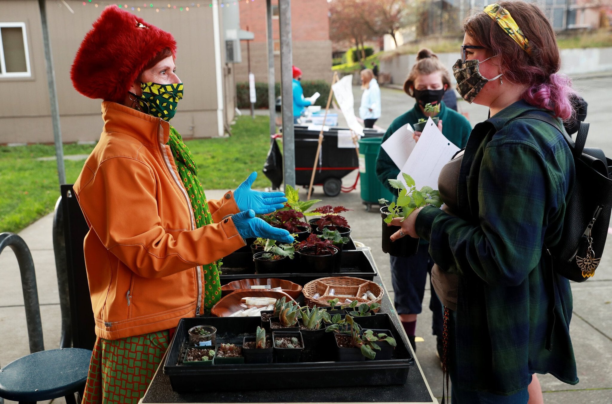 About every two weeks, India Carlson, a botany and environmental horticulture teacher at Ballard High School, dons a mask and gloves, carts out trays of plants to the back of the school, and gives plants to students like Kate Williamson, 17, right. (Erika Schultz / The Seattle Times)