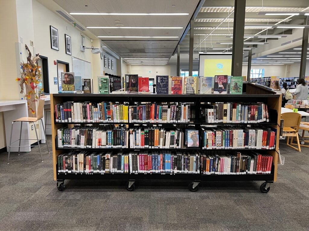 Library view and cart with books